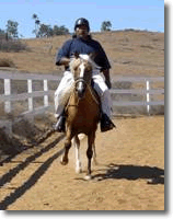 Jacob riding our Peruvian Paso stallion, Companero del Sol